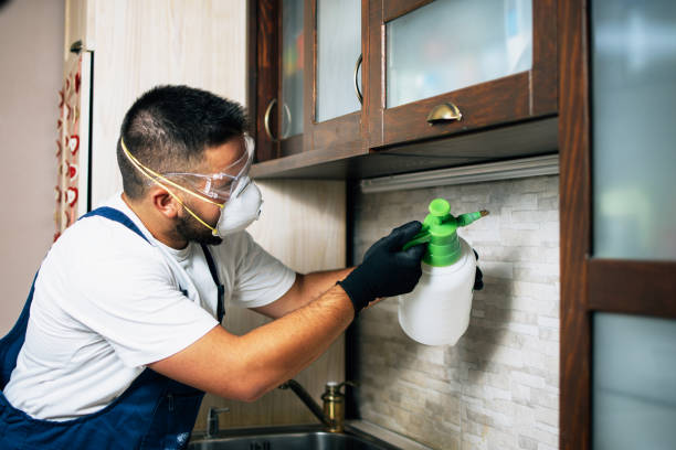 Reliable Canton, IL Pest Control Solutions