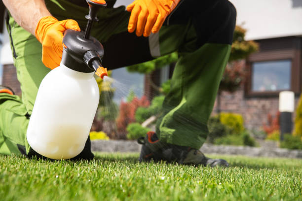 Best Insect Control  in Canton, IL