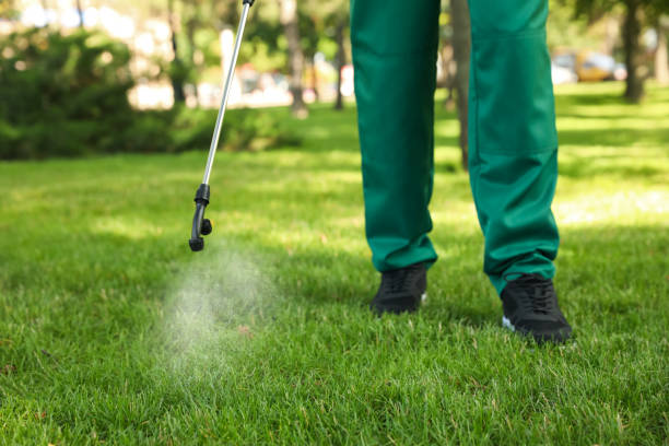 Best Best Pest Control Companies  in Canton, IL