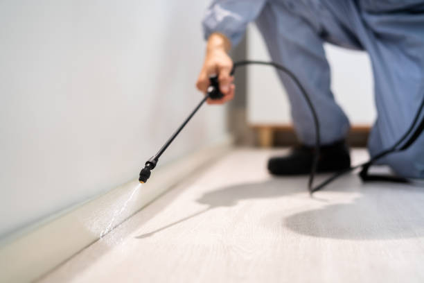 Wildlife Control Services in Canton, IL