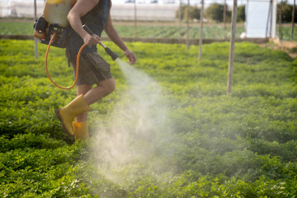 Best Commercial Pest Control Services  in Canton, IL
