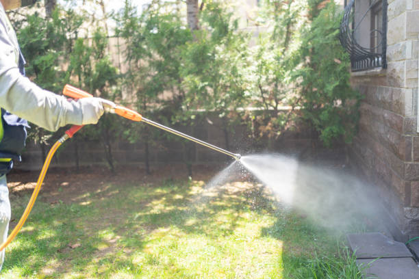 Best Affordable Pest Control Services  in Canton, IL
