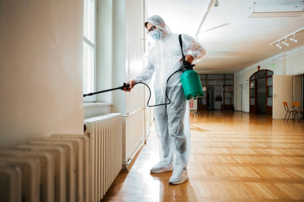 Best Rat Extermination Near Me  in Canton, IL