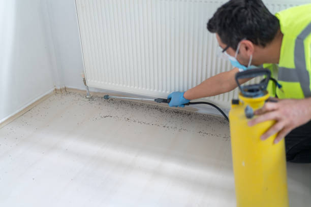 Best Pest Prevention Services  in Canton, IL